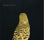 Andrew Bird Armchair Apocrypha Andrew Bird Armchair Apocrypha